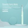 Oraimo SmartDent Electric Toothbrush-One Free Holder Plus Two Free Replacement Brush Heads in total - Image 3