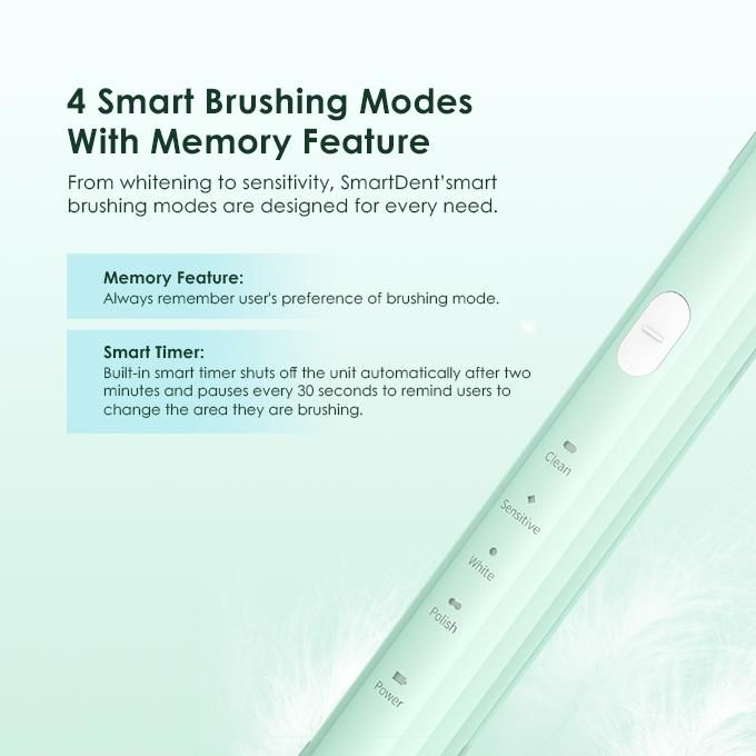 Oraimo SmartDent Electric Toothbrush-One Free Holder Plus Two Free Replacement Brush Heads in total - Image 5