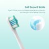 Oraimo SmartDent Electric Toothbrush-One Free Holder Plus Two Free Replacement Brush Heads in total - Image 6